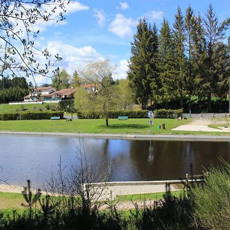 Gite Avec Cheminee, Terrasse Et Wifi - Animaux Acceptes - Fr-1-496-163 Usson-en-Forez Eksteriør billede