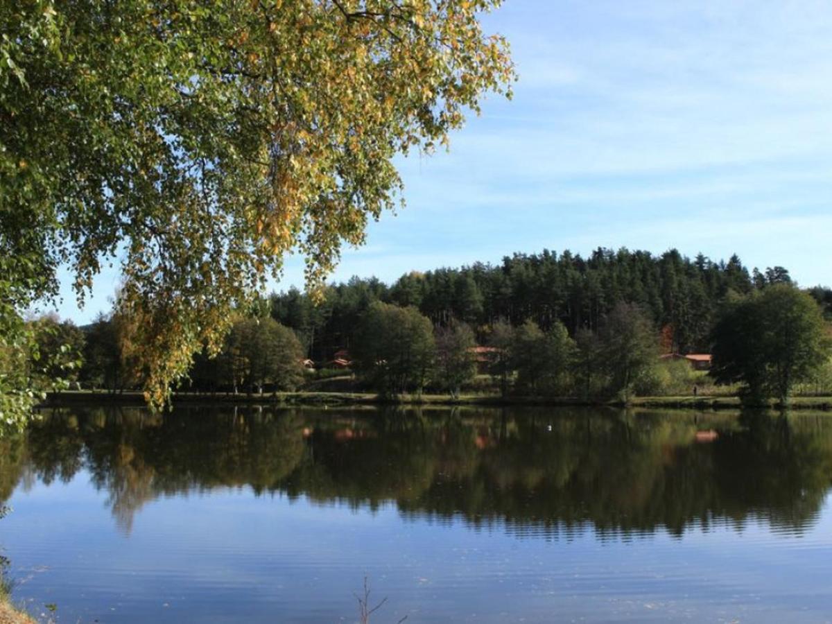 Gite Avec Cheminee, Terrasse Et Wifi - Animaux Acceptes - Fr-1-496-163 Usson-en-Forez Eksteriør billede
